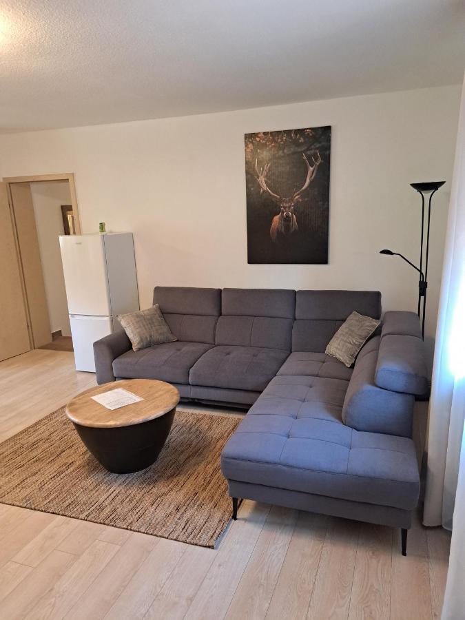 Hof Helmenhube 2 Apartment Gammelsbach Ngoại thất bức ảnh